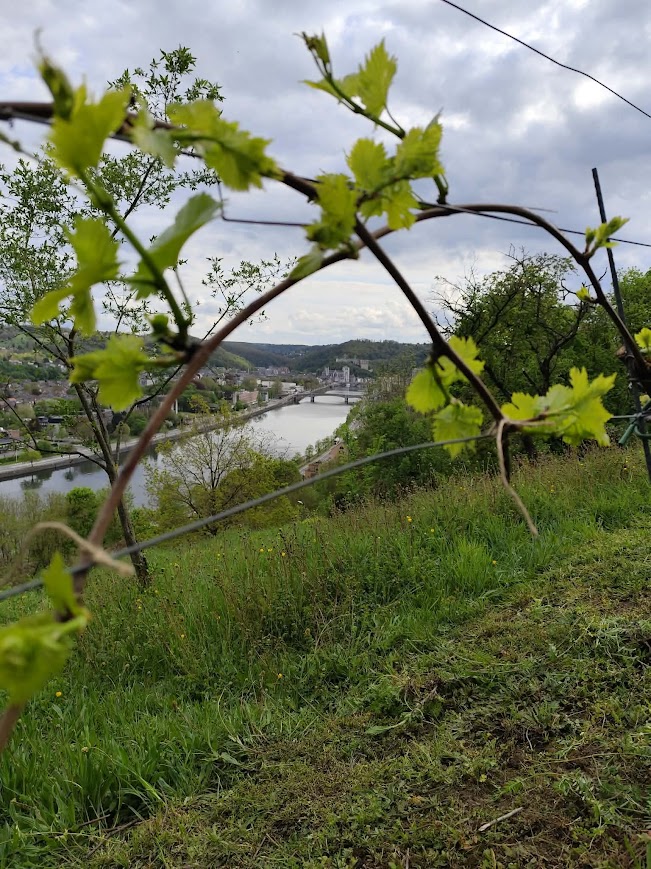 Le Printemps est là