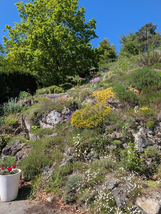 Le Printemps est là