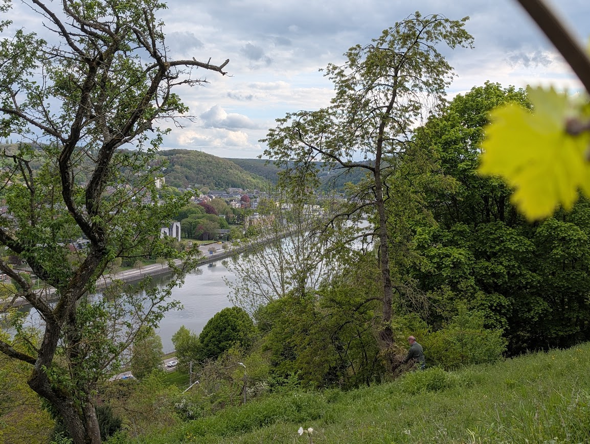 Le Printemps est là