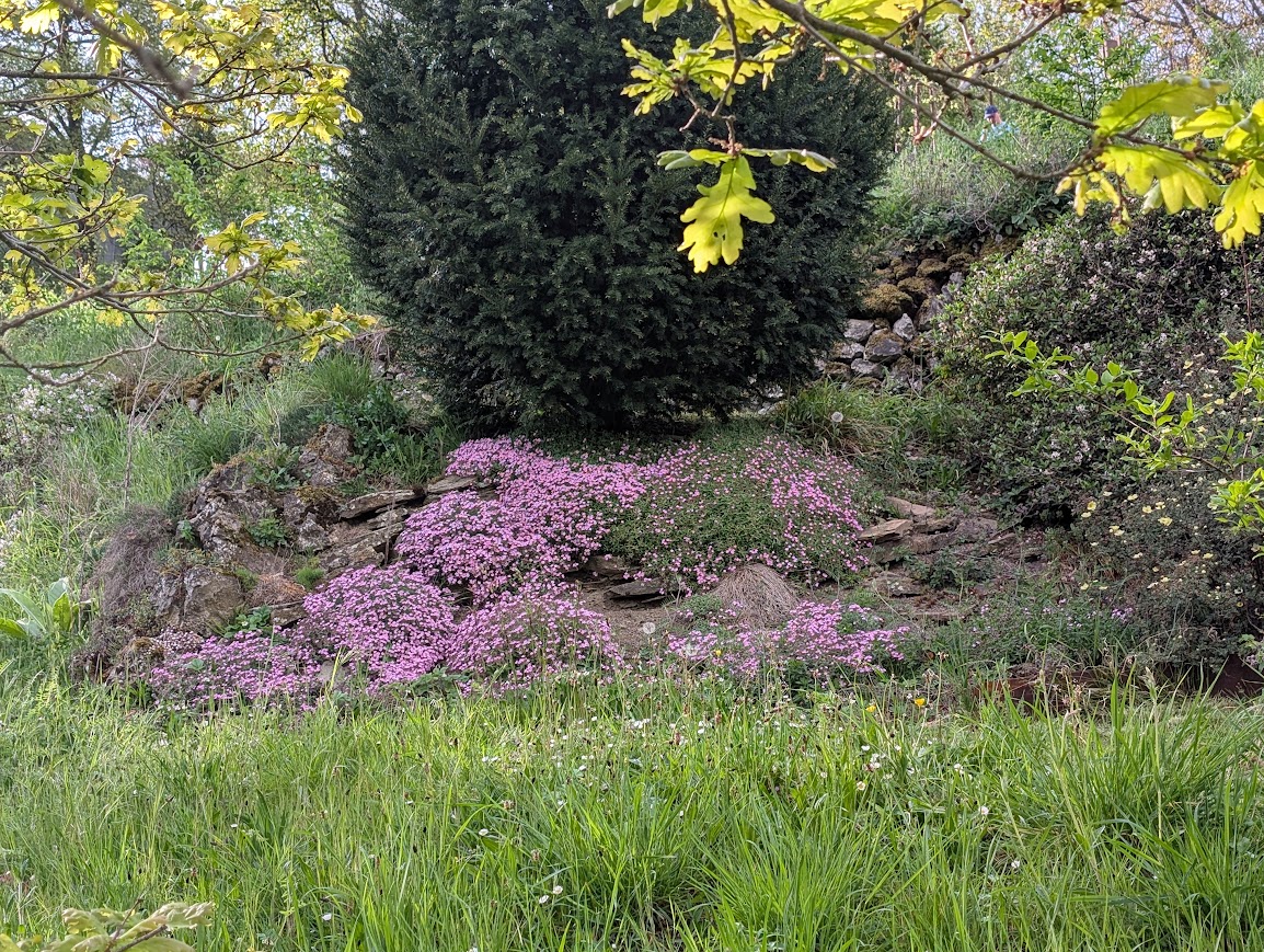 Le Printemps est là