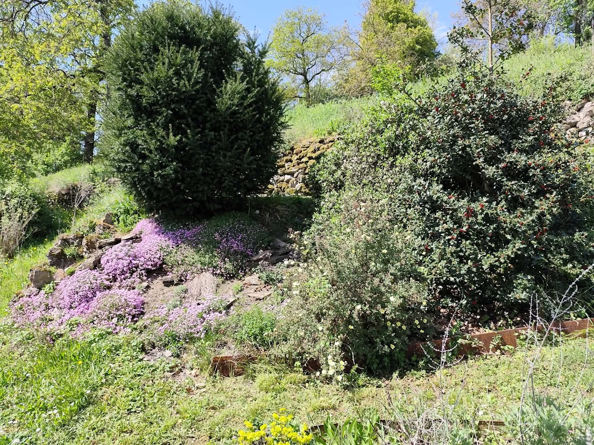 Le Printemps est là