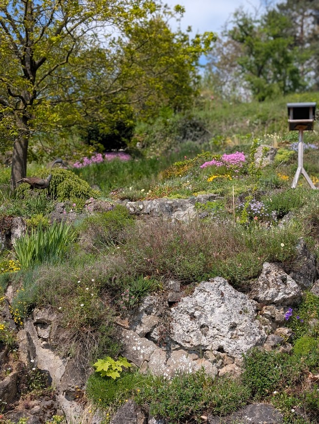 Le Printemps est là