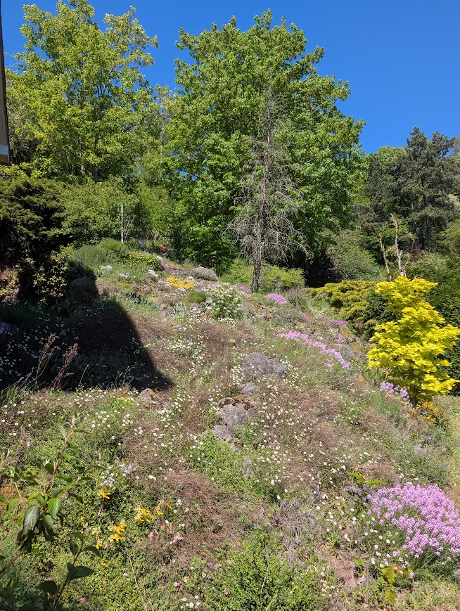 Le Printemps est là